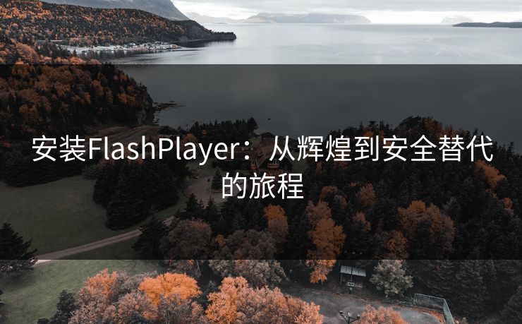 安装FlashPlayer：从辉煌到安全替代的旅程