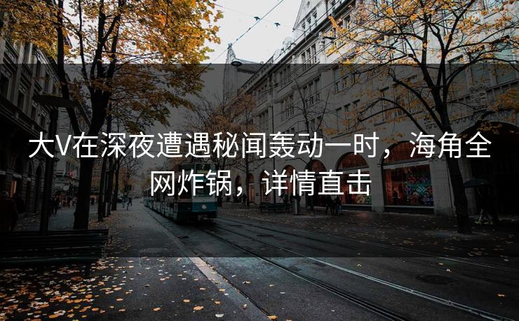 大V在深夜遭遇秘闻轰动一时，海角全网炸锅，详情直击