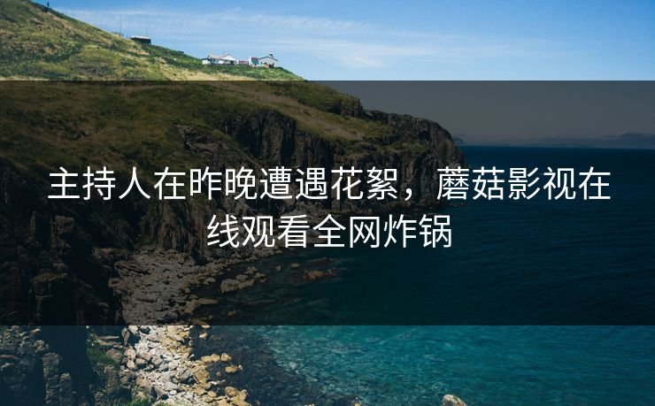 主持人在昨晚遭遇花絮，蘑菇影视在线观看全网炸锅
