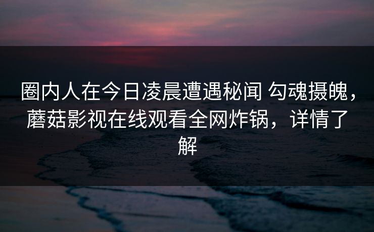 圈内人在今日凌晨遭遇秘闻 勾魂摄魄,蘑菇影视在线观看全网炸锅,详情了解